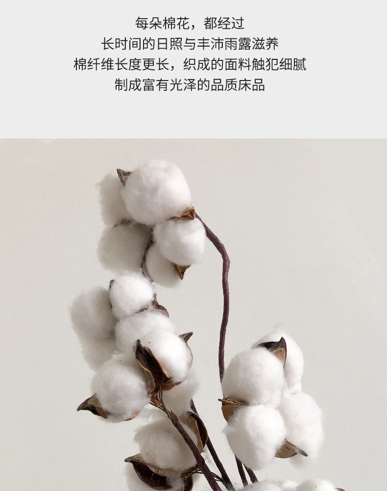 804_QN720f7a94d83b7549aa67343084a0b9b5